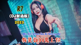 R7 - 我是真的爱上你 (DJ默涵版2023) Wo Shi Zhen De Ai Shang Ni【Aku Benar-benar Mencintaimu/I Truly Do Love You】