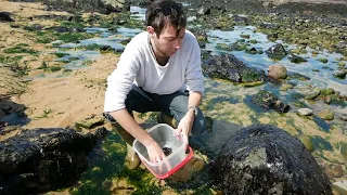 Attempting home made seaweed sushi sheets.  Foraged Laver/Nori from Wales!