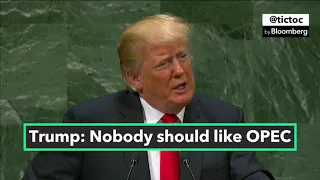 Germany Reacts to Trump's UNGA Speech