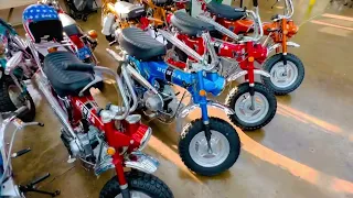 The Indianapolis Honda Minibike Collection sale, text 317.727.9927