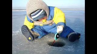 Без труда не вытащишь и рыбку из пруда.