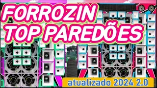 FORROZIN ATUALIZADO DE 2024 / MÚSICAS TOP DE PAREDÕES