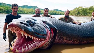 20 Deadliest River Monsters In The World