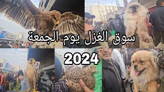 سوق الغزل يوم الجمعة انواع الحيوانات والطيور مخلوقات اول مره تشوفوها 2024/1/5