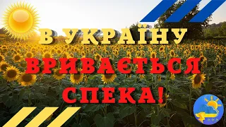 Завтра в Україну увірветься спека: синоптик Діденко назвала область, де вдарить до +35°