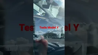 Tesla Model Y!!