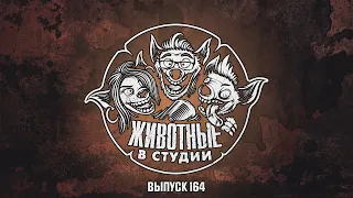 Подкаст «Животные в Cтудии». Выпуск 164. Чудо чудное, диво дивное