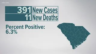 391 new COVID-19 cases, 11 new deaths reported in South Carolina