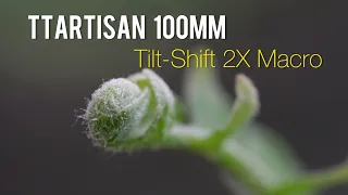 TTArtisan 100mm F2.8 2x Macro Tilt/Shift Lens: A Game-Changer for Creative Photography