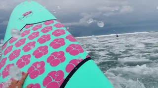 Should You Learn To Surf On a Foamboard Surfboard?