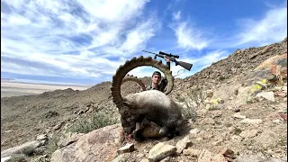 Huge IBEX! Hunting Mongolia / ALTAI Ibex hunting