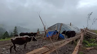 The pastoral Life | Nepal🇳🇵| Chapter -48 |herder's food in the himalayan are | shepherd kitchen