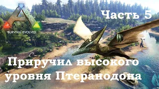 ARK Survival Evolved В одиночку #5 - приручил высокого уровня Птеранодона