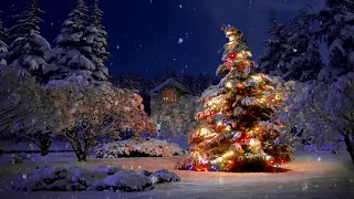 Beautiful Snow Falling Christmas Scene Animation ~ Makes Great Background with Music