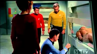 Star Trek - Kirk Meets Khan (Widescreen)