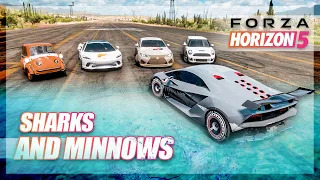 Forza Horizon 5 - Sharks and Minnows!