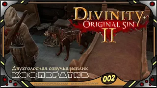 Divinity Original Sin 2 - Кооператив (№02) - Двухголосная озвучка реплик .