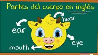 Las Partes del Cuerpo en Inglés | Cuerpo Humano en Inglés | La Cabeza en Inglés