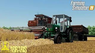 ✅ ФС 19 / МОЛОТИМ ПШЕНИЦУ В СЕЛЕ КОШМАК / ДЛЯ FARMING SIMULATOR 19 / FS 19 / LS 19