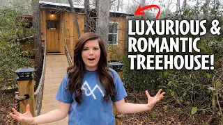 Most booked Airbnb treehouse in North Carolina Full Tour! #treehouse #airbnb #luxury