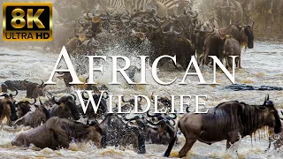 African Wildlife 8K ULTRA HD | Wild Animals of African Savanna | Relaxation Film