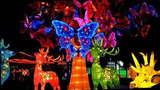 North Carolina Chinese Lantern Festival