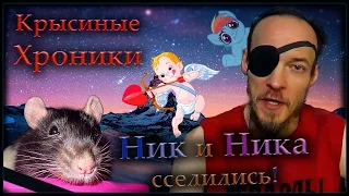 Крысы | Ник и Ника сселились - трансформа "Злобной твари". (Fancy Rats)