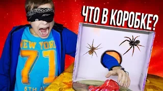 УГАДАЙ ЧТО В КОРОБКЕ ЧЕЛЛЕНДЖ С МЛАДШИМ БРАТОМ! THE BOX CHALLENGE