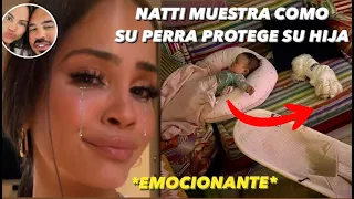 Natti Natasha llora Comparte Como Su Perro Protege Su Hija Vida Isabelle *Emocionante*