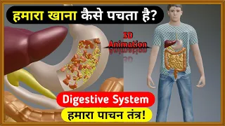 हमारे शरीर में खाना कैसे पचता है | पाचन तंत्र | digestive system | 3D Animation 🔥🔥🔥