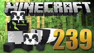 Finalmente Pandas - Minecraft Em busca da casa automática #239