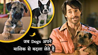 When-Dogs-Take Revenge from his Owner-for-Misbehaviour 😂😂 | Strays 2023 | Cinema Soul