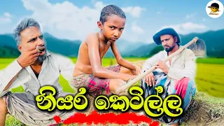 Niyara ketilla | නියර කෙටිල්ල - attaraya / ඇට්ටරයා #funny #srilanka #viralvideo #jokes #sinhala