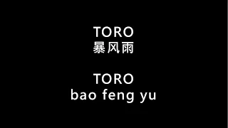 【TORO - 暴风雨 bao feng yu】 歌词 + 拼音 | Lyrics & Pin Yin 【90 后歌曲】