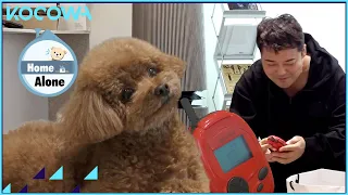 Can this machine tell what dogs think??? l Home Alone Ep 437 [ENG SUB]