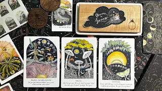 Phases & Forests Oracle deck by @katryalls6323 - Unboxing, first impressions & full flip through 🌿