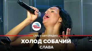 Слава - Холод Собачий (LIVE @ Авторадио)