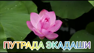 Не пропусти! Путрада экадаши.