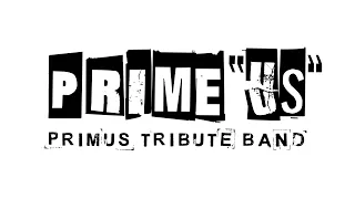 Primus Nature Boy LIVE cover