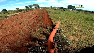 Arando com #arado #massey 4 discos. após mexer na estrutura do arado, veja como ficou??