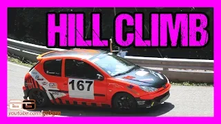 Peugeot 206 S16 - Guillaume ANNEHEIM - HILL CLIMB - 2012 - Turckheim-Trois Epis