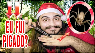 PEGANDO MORTAL ARANHA MARROM NA MÃO | DESAFIO MORTAL (+14)