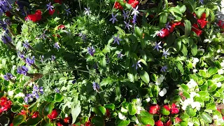 In our dear Lord's garden ("Castle Eden") - pipe organ, St Austell Parish Church