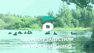 Хлореллу запустили на улице Аниськино