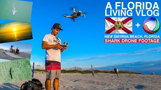 I Made It To The Beach! New Shark Drone Footage And An Interview With Brazil's Record TV. Part 3