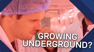 How Do Hydroponics Work? Underground Farming | Earth Lab