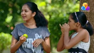 Uppum Mulakum│Flowers│EP# 836