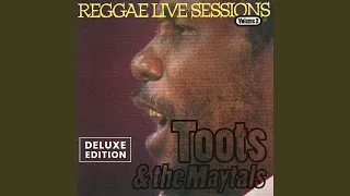 Rock The Reggae (Live)