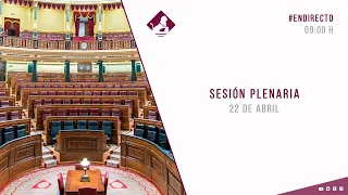 Sesión Plenaria. (22/04/2020)