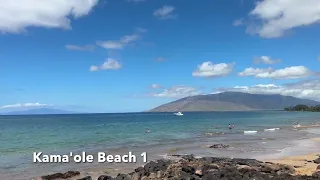 Snorkeling Kamaole Beaches